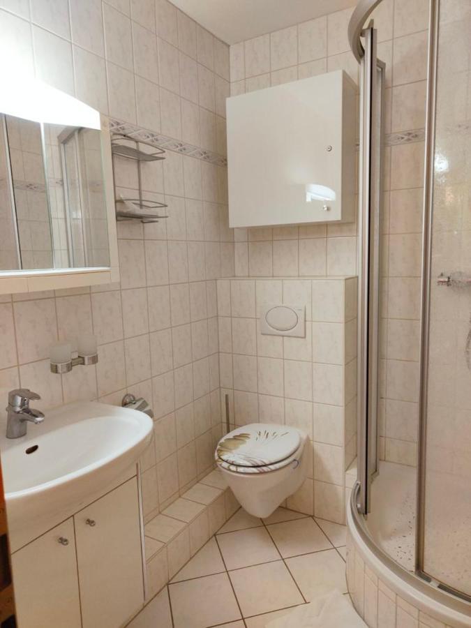 Apartment Brockenblick Mit Tollen Blick Und Schwimmbad Браунлаге Екстериор снимка