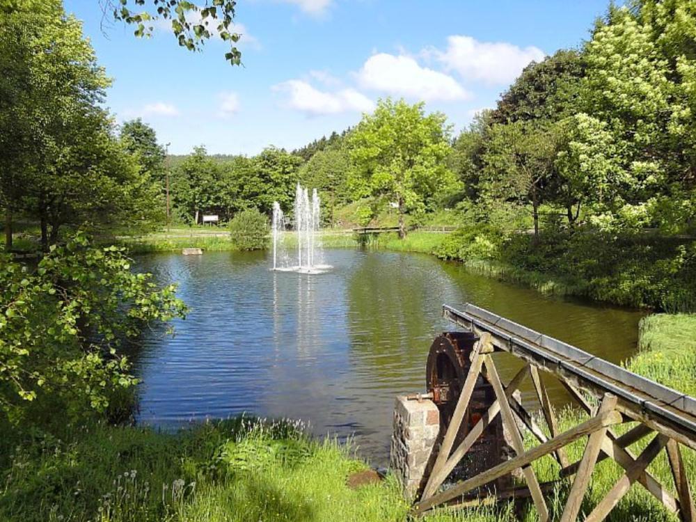 Apartment Brockenblick Mit Tollen Blick Und Schwimmbad Браунлаге Екстериор снимка